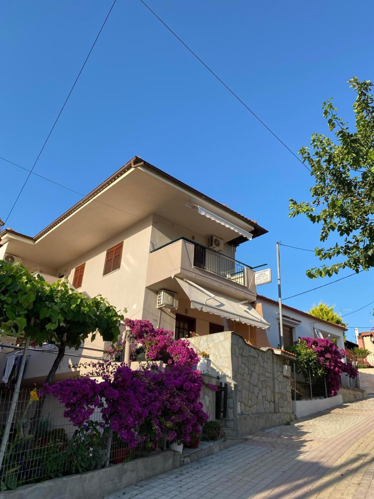 Miranda Studios Paliouri Bagian luar foto